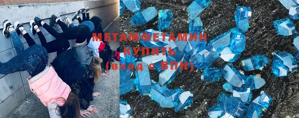 шишки Тында
