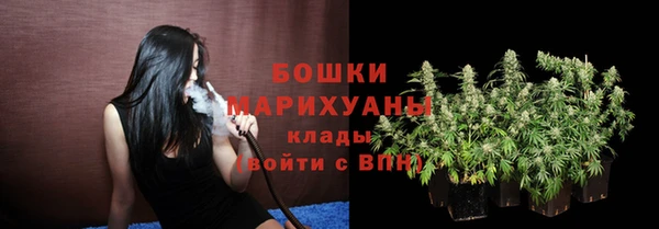амф Каменногорск