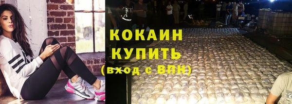 амф Каменногорск