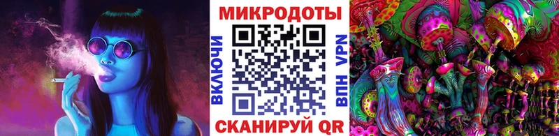 Псилоцибиновые грибы GOLDEN TEACHER  Купить закладки  Пласт 